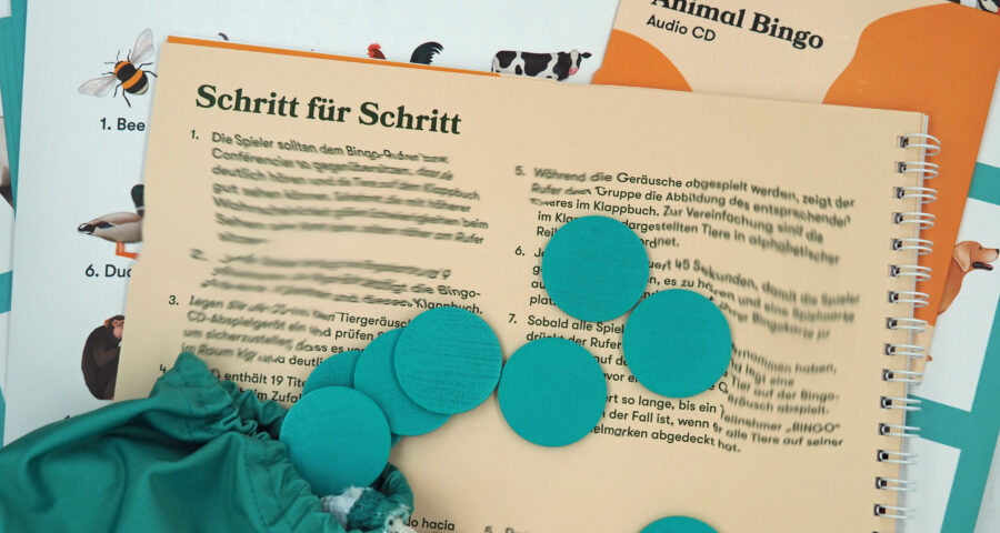 Spezial-Bingo: mit Audio-Unterstützung und großen Bildern